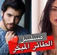 مسلسل الطائر المبكر الحلقة 1 مترجمة