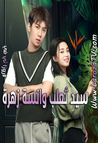 مسلسل سيد ثعلب وانسة زهرة الحلقة 22 مترجمة Mr Fox and Miss Rose ح22