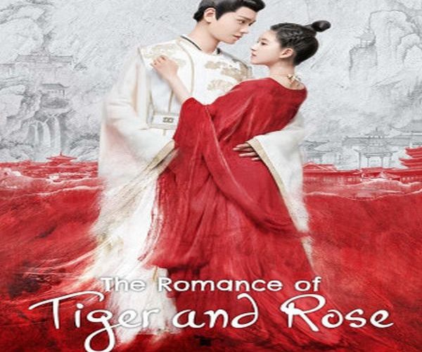 مسلسل رومانسية النمر والزهرة الحلقة 23 مترجمة The Romance of Tiger and Rose ح23