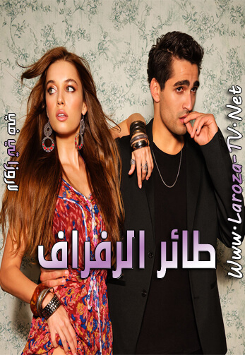 طائر+الرفراف